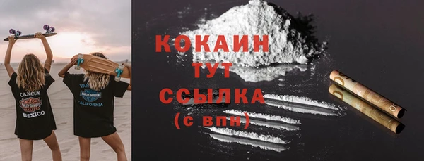 индика Армянск