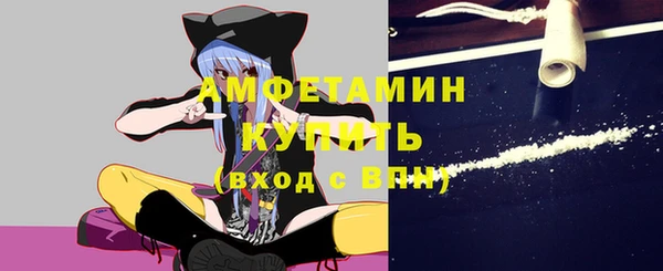 индика Армянск