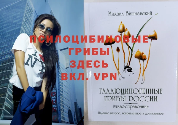 индика Армянск
