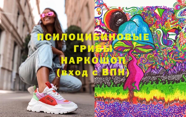 ешки Арсеньев